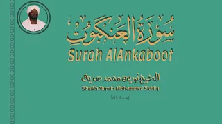 الشيخ نورين محمد صديق سورة العنكبوت Sheikh Nurein Mohammed Siddig Surah AlQasas 