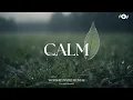 Download Lagu CALM - Soaking worship instrumental | Prayer and Devotional