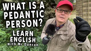 Are you pedantic What is a pedant - Learn the meaning of English words