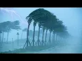 Download Lagu 99.99% Say Goodbye to Stress and Sleep Instantly with POWERFUL HURRICANES and THUNDERSTORMS