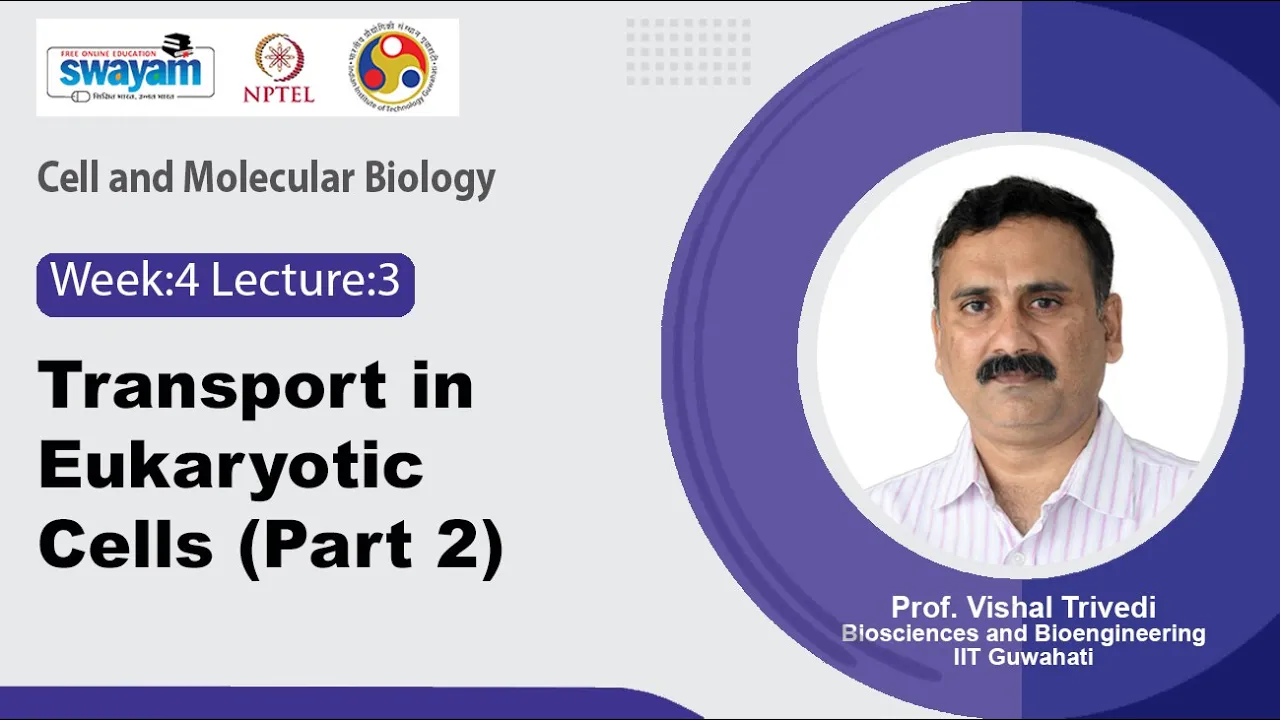 Lec 17: Transport in Eukaryotic Cells (Part 2)