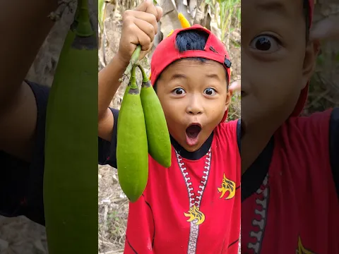 Ternyata bantal bisa di makan 😱