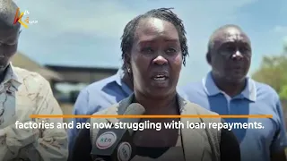Sugar workers, suppliers demand Ksh. 2.7b payout