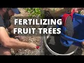 How and When to Fertilize Fruit Trees - Back Yard Orchard