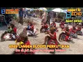 Download Lagu Ebeg Langen Budoyo Perkutukan Full Durasi live Dk.Jati Ds.Peniron Pejagoan Kebumen