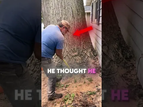 This Man Made a Huge Mistake Trying to Cut Down This Tree 😨