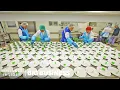 How Emirates Makes 225 000 In-Flight Meals A Day
