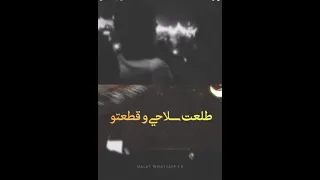خصمي بالمطوة انا دلعتو   عصام صاصا حالات واتس مهرجانات جايين نتعارك ونجرح  حالات واتس عصام صاصا    دندنها