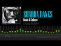 Shabba Ranks - Roots & Culture (Stalag Riddim) [HD]