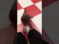 Download Lagu Otter Taro-kun is checking on Nanny if there's still food after he finished eating😁😍🦦|Cute Otter