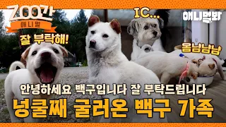 [ZOO간애니멀] 초면에 죄송하지만, 잘 부탁드립니다 #동물농장 #animalfarm