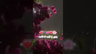 قلب البعبع من جوا       مصطفى الجن دندنها