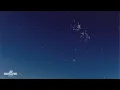 Calvin Fallo - Everybody Wanna Be In Love (Lyrics)