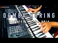 Download Lagu Karaoke domba kuring nada pria Koplo Rampak