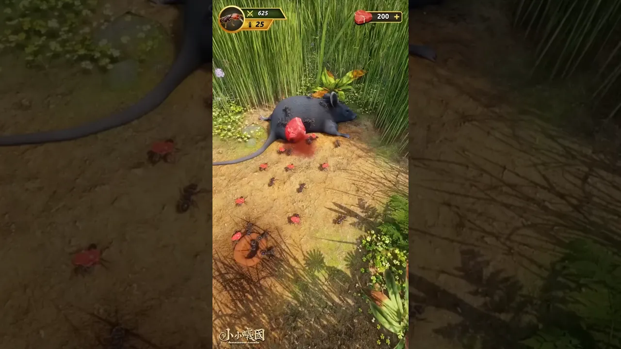 #luckygameplay