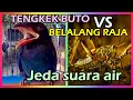 Download Lagu Masteran Tengkek Buto Speed Rapat Lambat Kasar vs Belalang Raja Jeda Suara Air Jernih Durasi Panjang