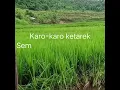 Download Lagu Lagu Marga-Marga(lirik) latar Situ Cileunca sungai palayangan.