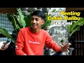 Download Lagu Cetak Lovebird Balibu Durasi Panjang Mudah Tidak Ribet, LENGKAP!