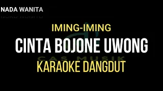 Download CINTA BOJONE UWONG [ iming iming ] - Karaoke Dangdut versi DIVA HANI | NADA WANITA MP3