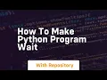how to make python program wait