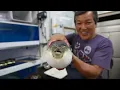 Japanese Street Food - LIVE FUGU PUFFERFISH Puffer Fish Japan
