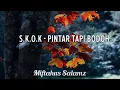 Lagu S.K.O.K - PINTAR TAPI BODOH (Video Lirik)
