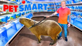 Taking My Capybara to PetSmart