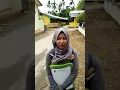 Lagu Deklarasi Anti Hoax Wanita Lubuk Alung Kab. Padang Pariaman