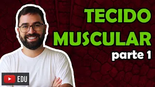 Tipos de Tecido Muscular - Aula 13 - Módulo VII: Histologia e Fisiologia Humana | Prof. Gui