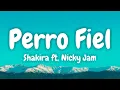 Download Lagu Shakira - Perro Fiel (Official Video) ft. Nicky Jam (Lyric Video 4K)