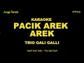Download Lagu Karaoke Pacik Arek Arek (Jan Sampai Lapeh) Video Lirik Trio Gali Gali