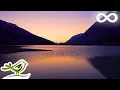 Download Lagu Magical Night: Relaxing Ambient Music for Meditation, Sleep, Yoga \u0026 Stress Relief