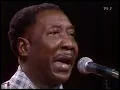 Lagu Muddy Waters - Got My Mojo Working