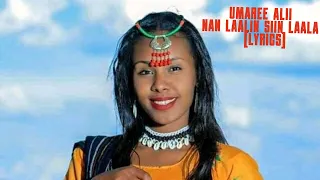 Umaree Alii Nan Laalin Siin Laala Lyrics New Oromo Music 2023 