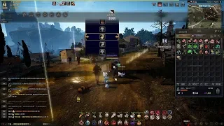 Black Desert TW - Hedgehog
