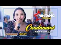Download Lagu Cundamani - Rina Aditama || Bintang Fortuna || Focus Multimedia HD