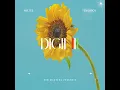 DIGII III