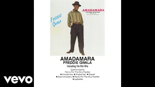 freddie gwala anginamali official audio 