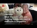Maak kennis met de robothuisdieren en dansende mensachtigen die in de ouderenzorg in Singapore wo...