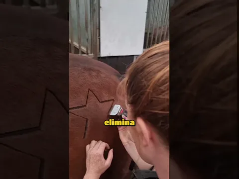 ¡Crean un rayo en el pelaje del caballo sin hacerle daño!