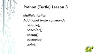 Python Turtle Lesson 3