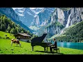 Download Lagu Relaxing Classical Music Soothes the Nervous System🌿 Mozart, Beethoven, Bach, Chopin, Debussy