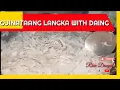 Download Lagu Guinataang Langka With Daing || Easy and Simple Recipe || Rhen Dacquil