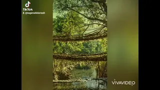 نغمات إسلامية محمد سيد  نغمات إسلامية محمد سيد