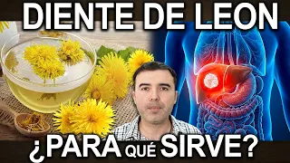 TE DE DIENTE DE LEON TODOS LOS DIAS! - Para Que Sirve, Beneficios Y Contraindicaciones Para Tu Salud