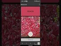 Campicker - Color selector