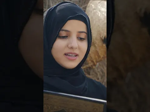 إقرأ أخي تذهب الأحزان /ضحى الحكيمي