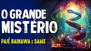 MEDICINAS DA FLORESTA: POVOS ORIGINÁRIOS da AMAZÔNIA (BAINAWA E SAME) - Paranormal Experience!#286