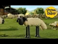 Lagu 🐷😆 Shaun and Friends in a Funny Moment – 1 Hour Compilation