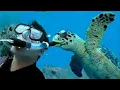 Best Ocean Animals Surprised Photographers in an Unexpected Way Funny Animal s 2025